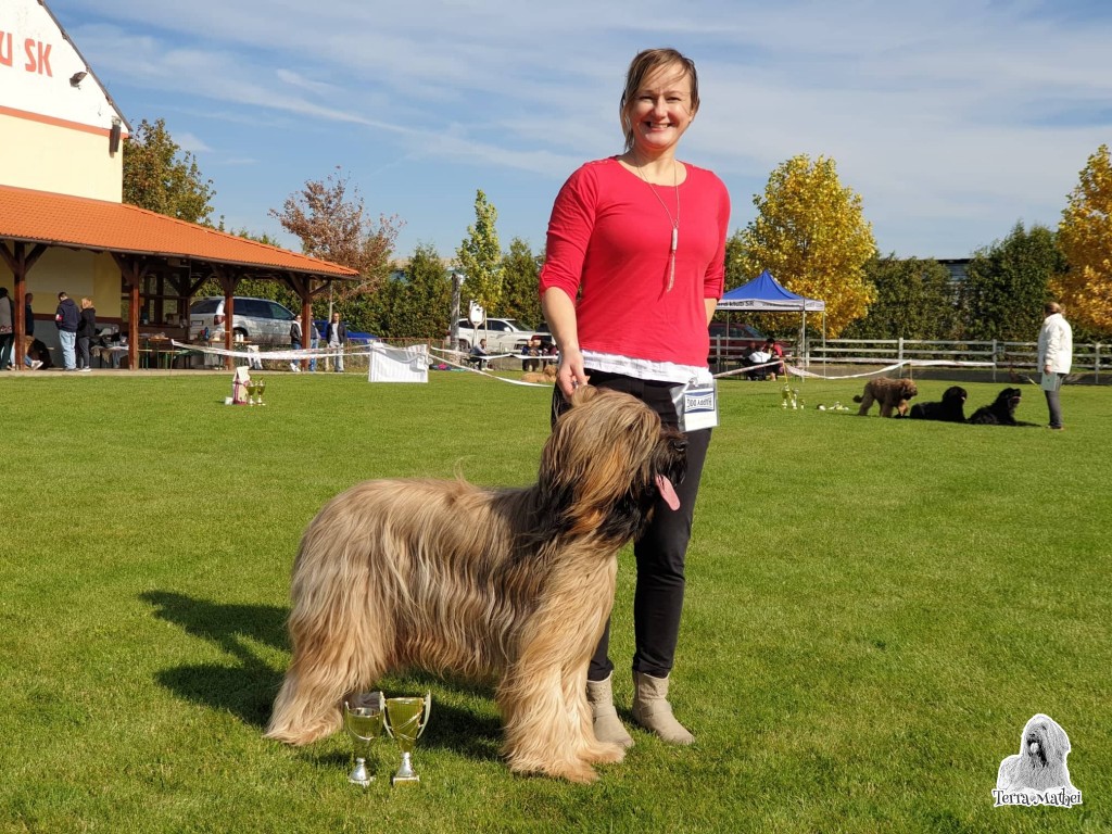 33. Klubová výstava Briard  -Malý Lapáš 12.10.2019